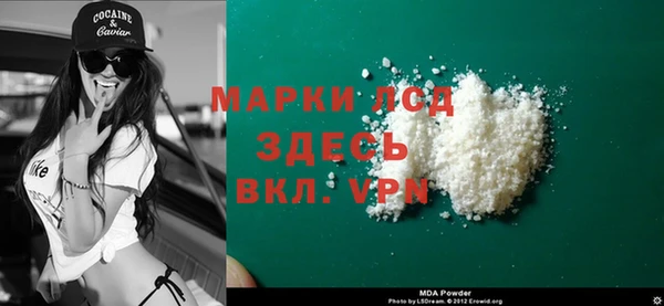 прущие грибы Медногорск